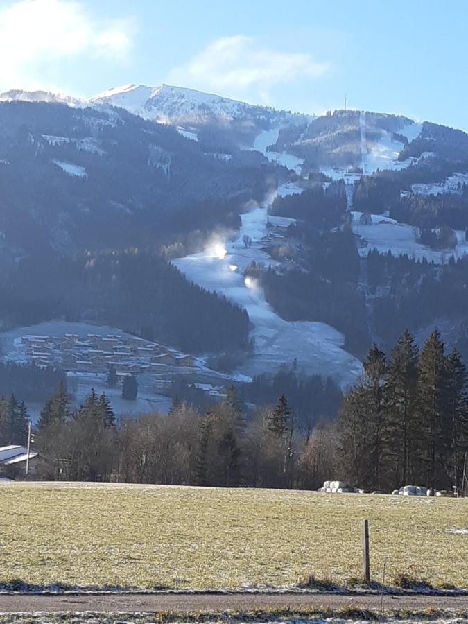 Apartment Kaiblingblick Haus im Ennstal Exteriör bild